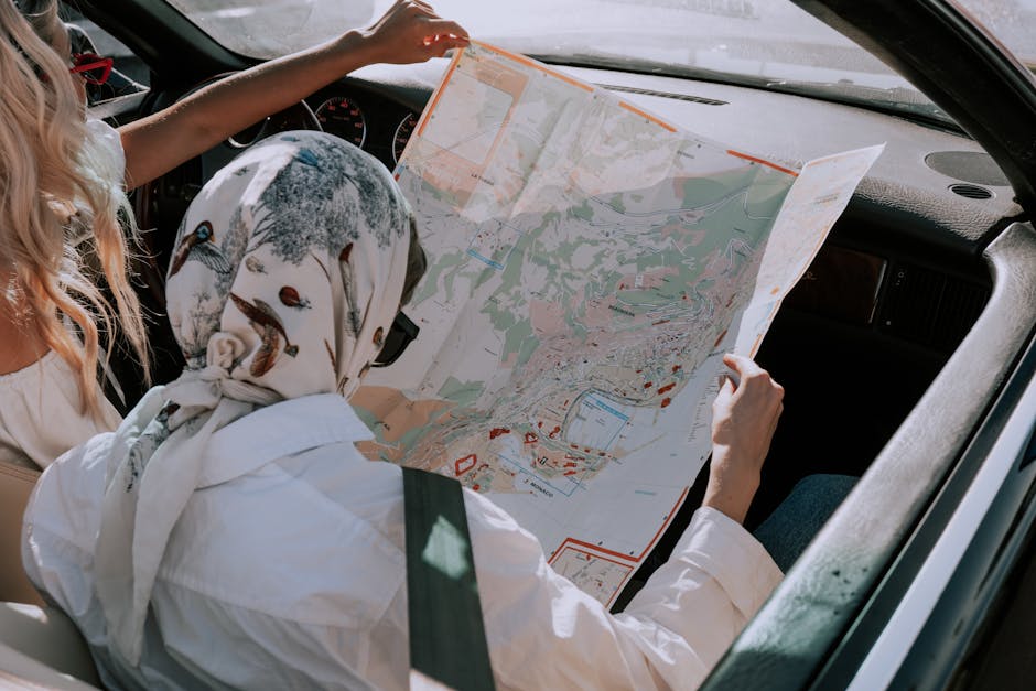 Exploring APIs: A Beginner’s Guide
