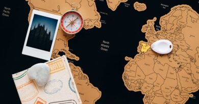 Exploring APIs: A Beginners Guide